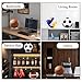 Ball Holder,2PCS Ball Stands for Basketball Football Soccer Volleyball Rugby Ball Souvenir Display Storage,Clear Acrylic Ball Rack,Soccer Rack,Basketball Stand,Football Display Stands,Volleyball Stand