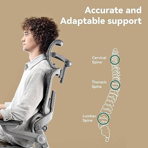 Image of HINOMI H1 Pro 3D Lumbar Support Ergonomic Office /Gaming Chair (Gray, Extra-High)