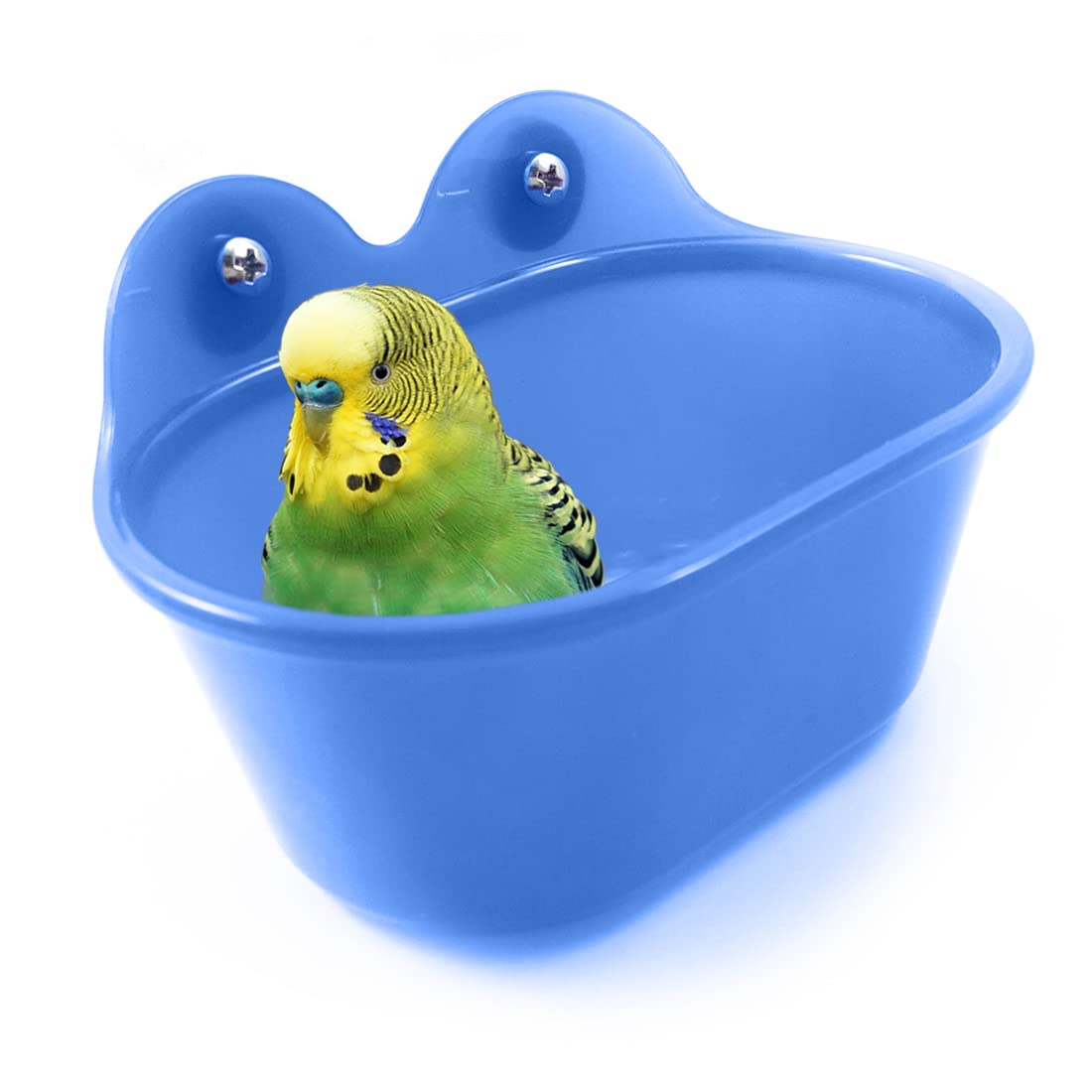 10 Best African Grey Parrot Bird Baths Top Picks for Keeping Your Bird