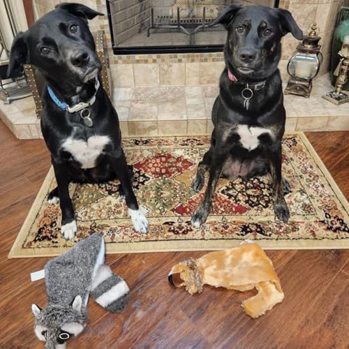 Image of Best Pet Supplies 2-in-1 Fun Skin Stuffless Dog Squeaky Toy Fox & Raccoon, Medium