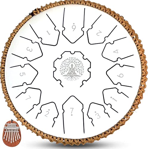 16 Best Steel Drum For Beginners By 2,765 Reviews