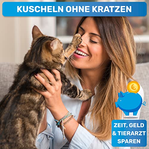 BluePet Kleine Krallenschere für kleine Hunde, Katzen & Kleintiere I Angewinkelter Schneidekopf für Enge Krallen I Krallenzange mit Krallenfeile für ideale Krallenpflege mit Nagelschneider