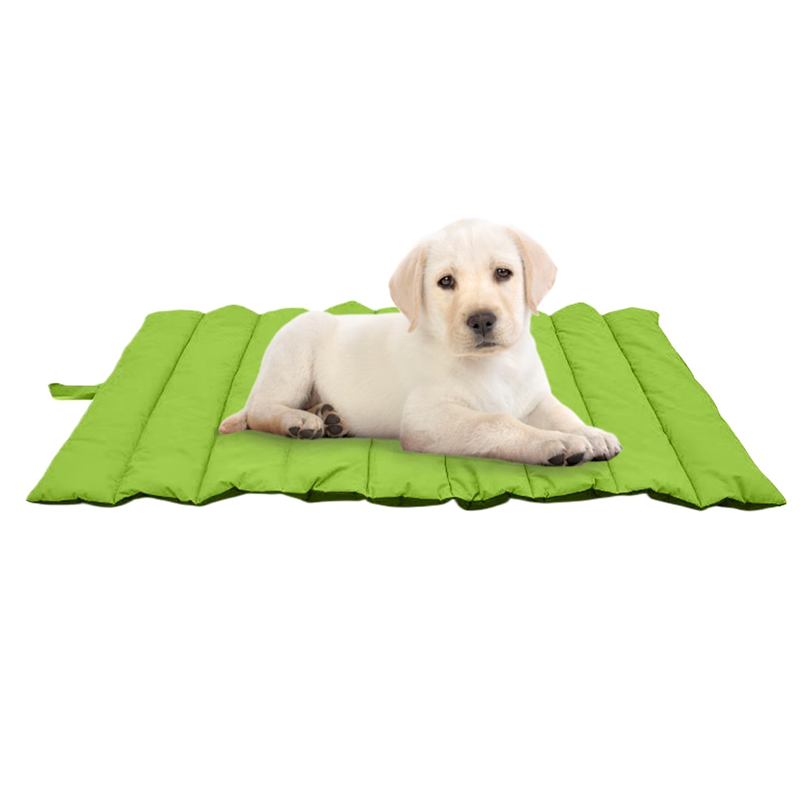 Couverture compacte pour chien qui protège du froid et de l'humidité en randonnée