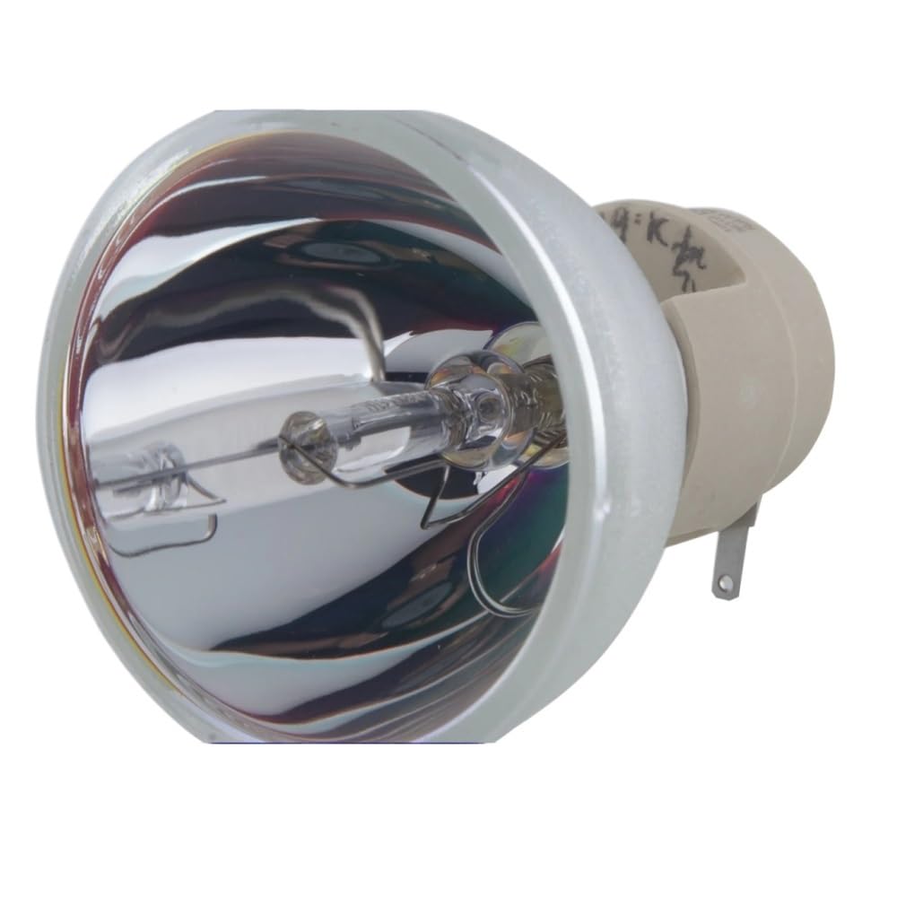 Ampoule de projecteur NP19LP pour modèles NEC NP-U250X et U260W - 2