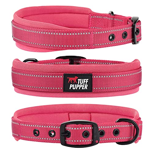 10 Best Material Dog Collars: A Comprehensive Buying Guide! - Furry Folly - Thread Durability For Dog Collars