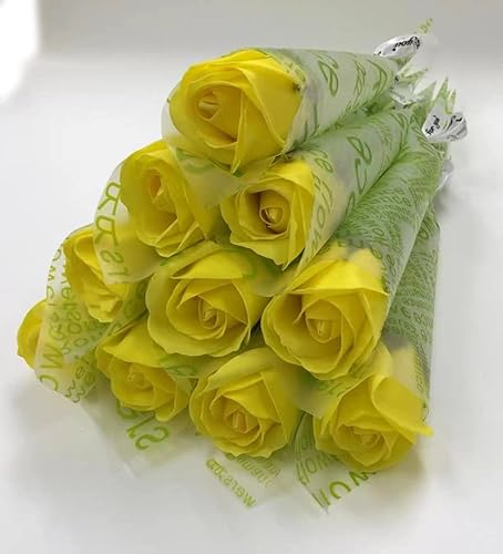 SCAMPER \[vt[ 1փo a v[g  lC  Mtg \ ̓ ސE c ޏ ʉ [Y v[g LO 蕨 (CG[i80{j)