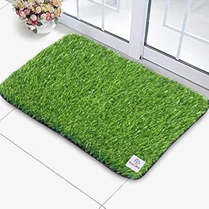 Heart Home Artificial Grass Mat|45 mm PVC Material & Realistic Look|Balcony Or Doormat|Size 16 X 24 INCH (Green…