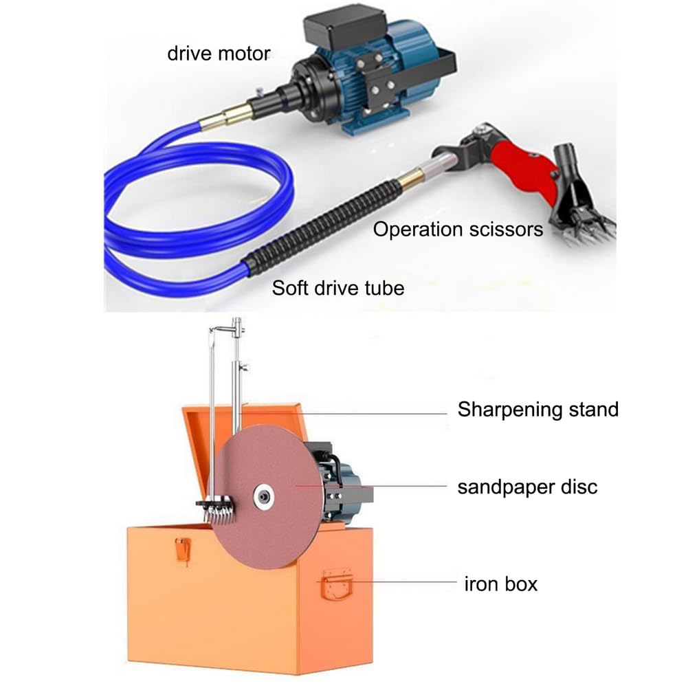 Cesoie per Pecore elettriche Professionali potenziate a Basso Rumore Portatili Tosatrici multifunzionali per toelettatura di Animali 220 V / 550 W per Pecore, capre, cammelli