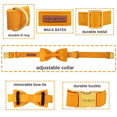 Unique style paws Dog Collar with Bowtie - Image 2