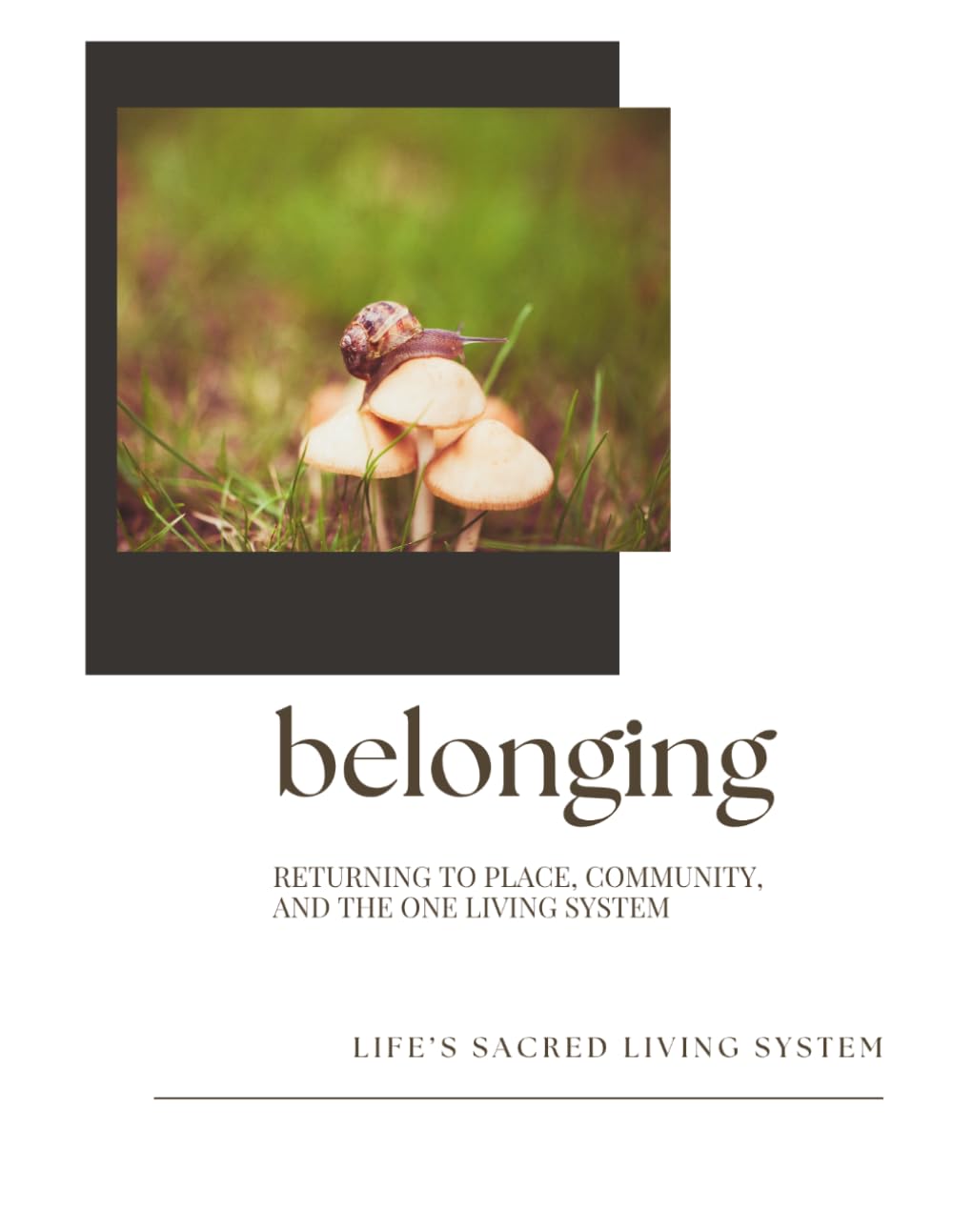 Belonging: Returning to Place, Community and the One Living System (Field Companions)
