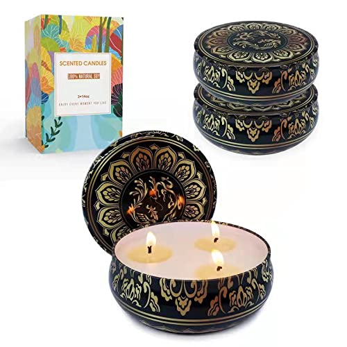 Iwax Citronella Candles Outdoor and Indoor Scented Candles Gift Set 3 Pack,13.5Oz Natural Soy Wax for Garden Patio Yard Home Balcony
