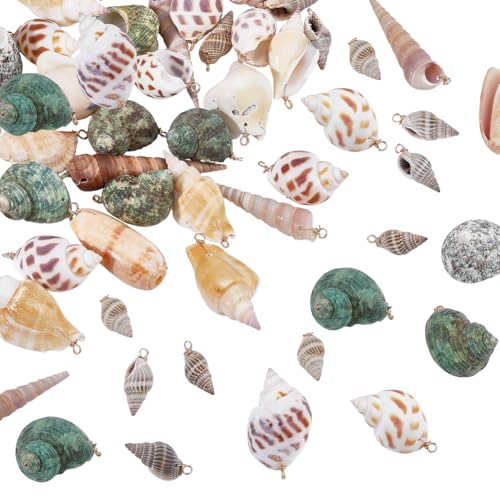 WADORN 45pcs Divers Pendentifs Naturels en Coquillages Spirale Conque Cauri avec Trous pour Création de Bijoux Artisanat DIY Collier Porte-clés Décoration...