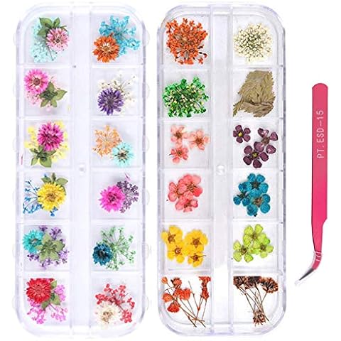 2 Boxes Nail Art Dried Flowers,UNIME 24 Colors Dry Flowers Mini Real Natural Flowers Nail Art Supplies 3D Applique Nail Decoration Sticker for Tips Manicure Decor Accessories,Gypsophila Flowers Leaves Cover