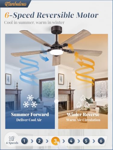 Image of Fanbulous 52 Inch Modern Ceiling Fans with Lights