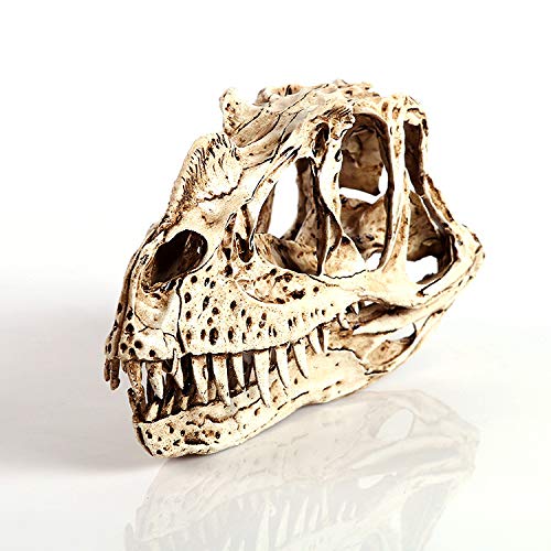 Czaszka Na Modelu Zwierzęcym Czaszka Dinozaura Materiał Żywica Głowa Figurka Model - Kolekcja Do Baru Ozdoba Rzemiosło Dekoracja Ze Stołu 20 * 11 * 8 Cm