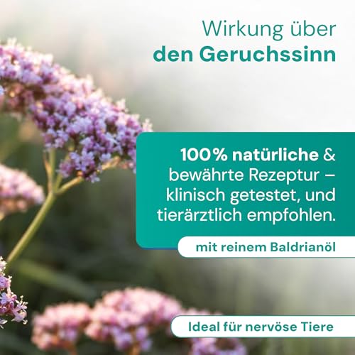 Emmi-pet Remedy Beruhigender Duftstecker mit Nachfüllung I Natürliches Anti-Stress Mittel für Haustiere I Beruhigung bei Angst, Stress, Feuerwerk & Tierarzt I Für Hund, Katze, Nager, Vogel & Pferd
