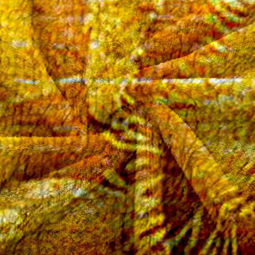 Couverture flanelle poisson doré 150x200 microfibre de luxe
