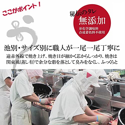 PRAIRIE DOG (プレーリードッグ) 国産 うなぎ 蒲焼 鹿児島県産 (特大約250g×2尾) の商品画像 7