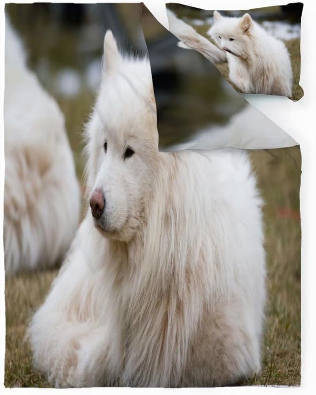 Miniatura 2 de Arctic Wolf King - Juego de funda de edredón con estampado de animales, funda de edredón de microfibra suave y 2 fundas de almohada de 20 x 36