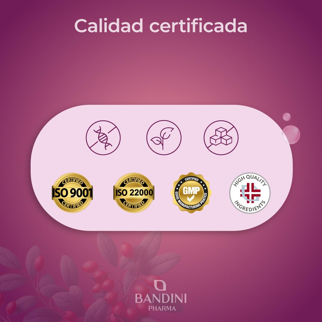 Bandini® Berberina 1000mg pura alta dosificación | 180 comprimidos veganos - Berberina HCl de Berberis Aristata 97% + Cromo y Pimienta Negra | Máxima absorción - Función digestiva, hepática, intestina