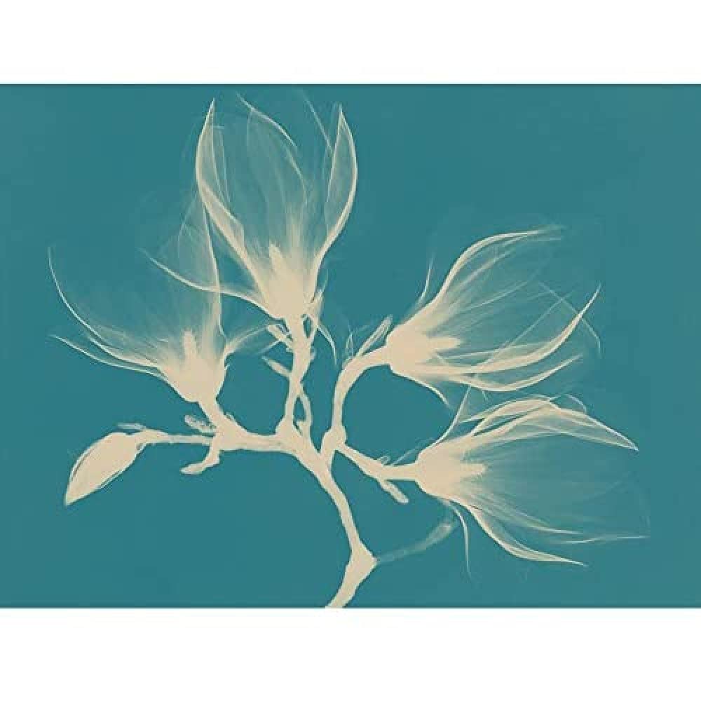 Wee Blue Coo Magnolia Branch Xray Blue Unframed Art Print Poster Wall Decor 12X16 Inch