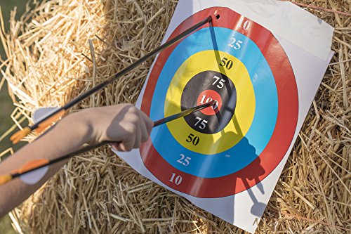 image for Bear Archery Youth Safetyglass Arrows (3 Per Card) , 26-Inch - AS38000