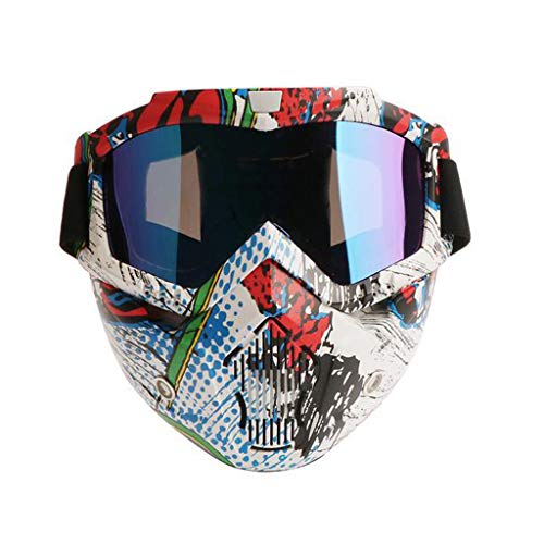 Professional Motorcycle Helmet Goggles, Detachable Dust Mask, Fog-proof Warm Goggles Mouth Filter Adjustable