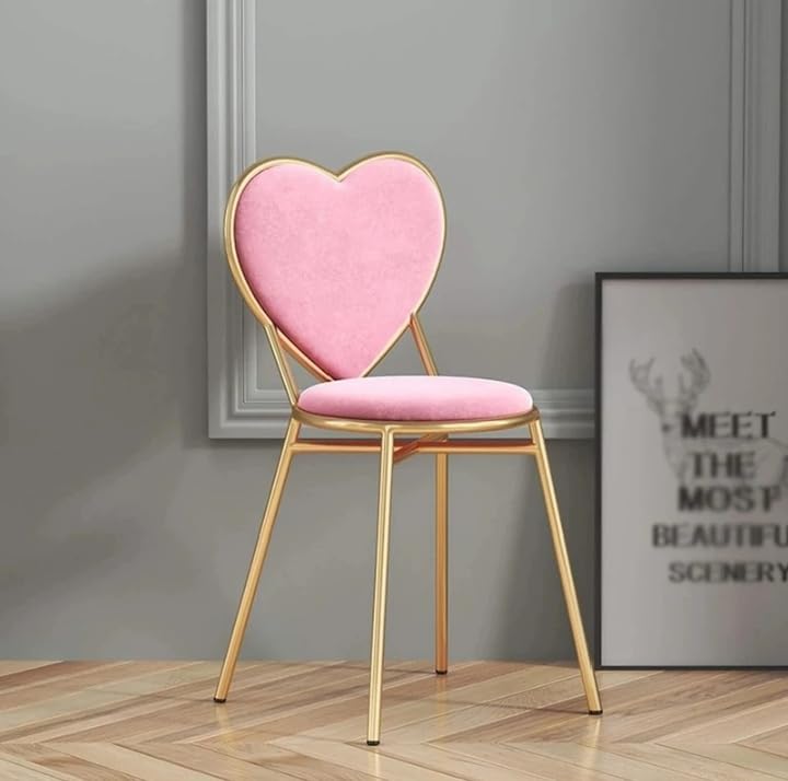 Modern Pink Accent Chair for Bedroom Vanity Café Living Room & Ma...