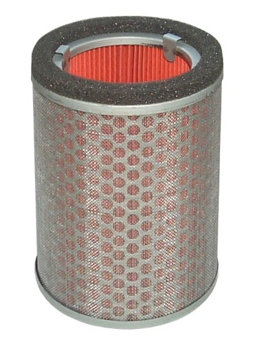 Hiflofiltro HFA1919 Premium OE Replacement Air Filter