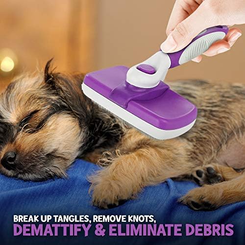 slicker brush for poodles