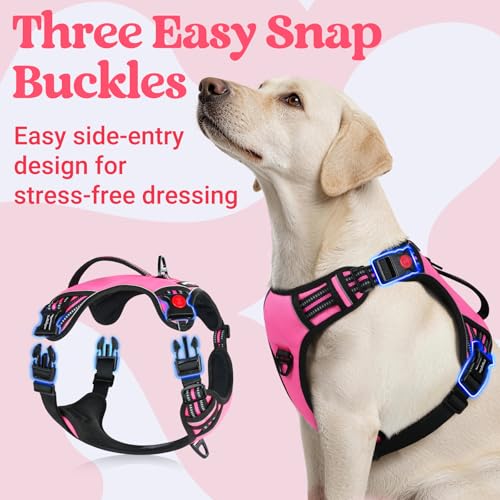 rabbitgoo Large Dog Harness, Easy Wear with 3 Buckles and Lift Handle | No Pull with Front Clip for Walking, Adjustable Soft Padded, Reflective, Easy Control, Pink, Large - Image 4
