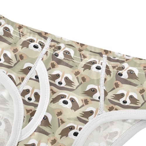 Boys' Underwear Cotton Little Boys Raccoons Briefs Soft Toddler Underwear 2T-8Y4