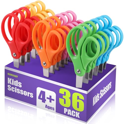 BURVAGY 36 Packs 5