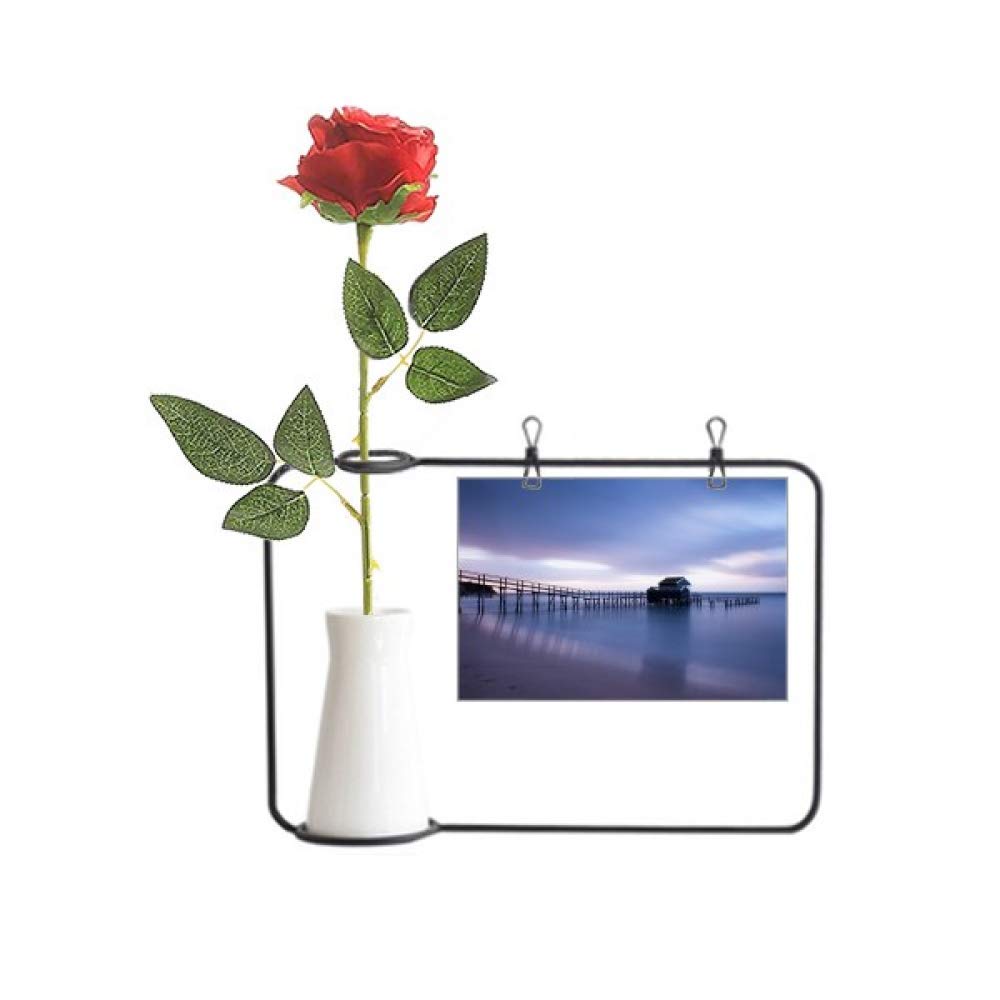 Vase suspendu bouteille Ocean House pour fleurir un mur sombre sans entretien