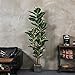 FLOWORLD Artificial Rubber Tree Plant 6ft Tall Faux Ficus Tree Potted Fake Tropical Plants Decorative House Plants Large Floor Artificial Trees for Home Office Decor, Without The Pot