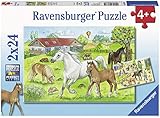 Das Produkt beinhaltet ein 2x24 Teile Ravensburger Kinderpuzzle im Format 26 x 18 cm für Mädchen und Jungen ab 4 Jahren, inkl. Mini-Poster