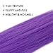 Arcpor Long Purple Braiding Hair Pre Stretched Synthetic Braiding hair Extensions for Braids, Purple Hair Extensions for Stage Party Christmas Halloween Costume Cosplay