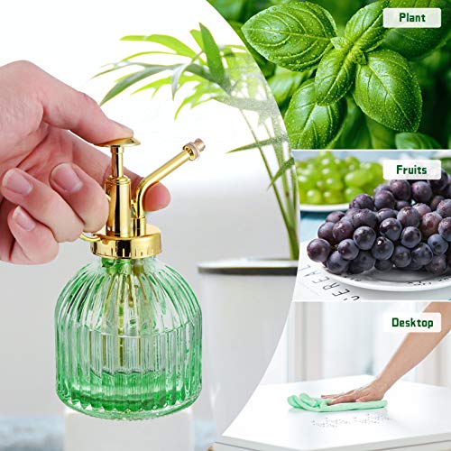 Yardwe Frasco de Spray De Vidro para Plantas| 6. 29/ 16CM de Altura Planta Spritzer Pode Molhar Com