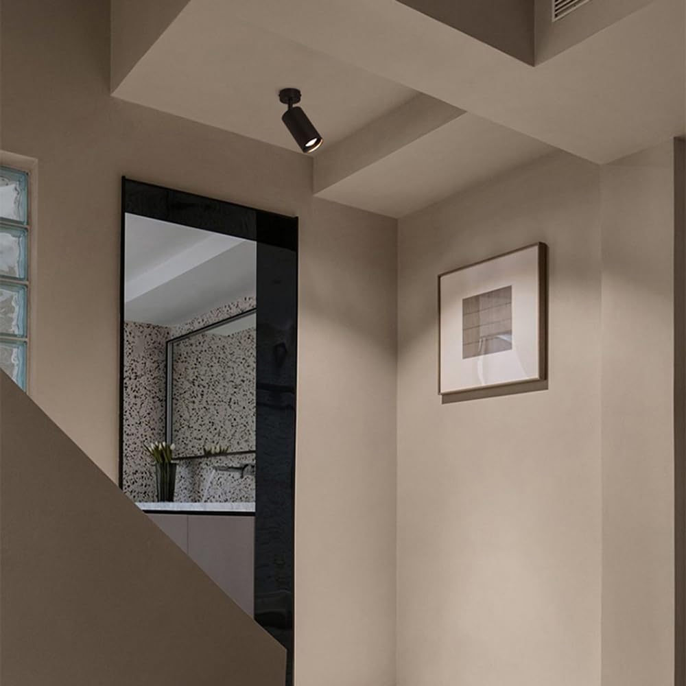 Spot LED 7 W, plafonnier encastré moderne à angle réglable, idéal pour un salon ou un mur, applique murale en aluminium, éclairage pour tableau ou vitrine, lumière blan,Black-white light 6000 K
