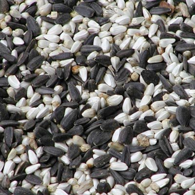 Wild Bird Seed Mix, Cardinal Blend, 40 lbs.