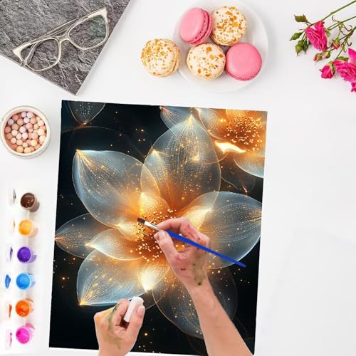 Peinture numéro adulte kit de loisirs créatifs à offrir pour amateurs de DIY et dessin