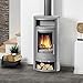 Produktbild Oranier Polar 6-5446 22 Kaminofen Stahl Gussgrau Abdeckplatte Speckstein