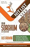 Hit List Seed® Grain Sorghum Food Plot Seeds for Deer [Annual Mix] - Deer Food Plot Seed - Sorghum Seeds for Planting - Deer Plot Seed Mix - 100% Grain Sorghum - Summer & Spring Planting - 5 lbs