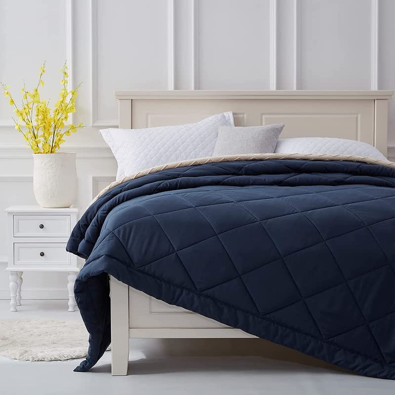 Rajasthan CraftsLightweight All Weather Comforter Ultra Soft Quilt Blanket Dohar (90x100 Inches, Blue)