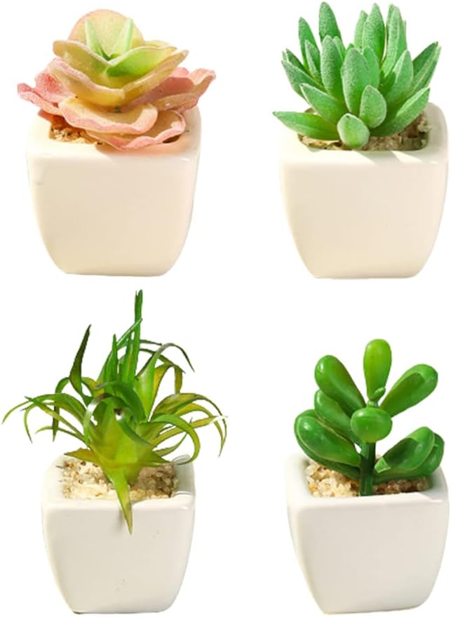 Mi Ya 人工観葉植物 フェイクグリーン 造花 サボテン ギフト プラスチック製 オフィス飾り 人工多肉植物 観葉植物 卓越 可愛い贈り物ユーカリ インテリア飾り お世話のいらない インテリアグリーン 4点セット 寄せ植え Mi Ya 人工観葉植物 フェイクグリーン 造花 サボテン ギフト プラスチック製 オフィス飾り 人工多肉植物 観葉植物 卓越 可愛い贈り物ユーカリ インテリア飾り お世話のいらない インテリアグリーン 4点セット 寄せ植え