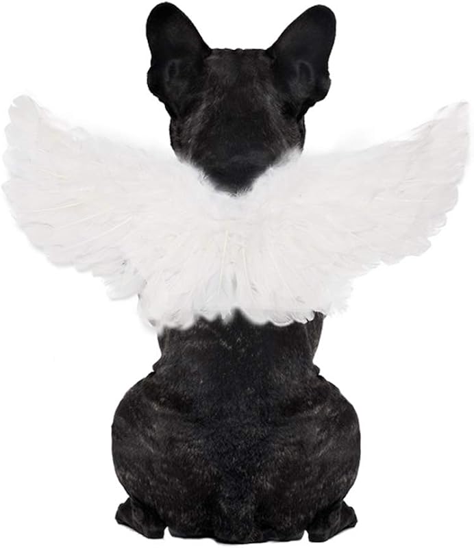 WeeH Disfraz de Halloween para mascotas, cosplay de ángel diablo, ala blanca y negra para perro, gato, conejo, cerdito, regalo divertido en fiesta de Halloween, tema anime, cumpleaños, Navidad (blanco, pequeño)