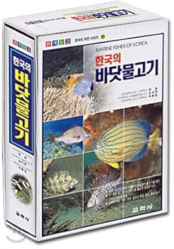 Paperback Korea's saltwater fish (primary Illustrated) (Korean edition) [Korean] Book