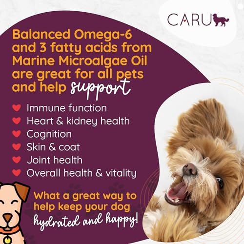 Image of Caru Classics Beef Stew for Dogs - Healthy Wet Dog Food or Food Topper - Balanced Omega Blend - 12 oz Cartons - Pack of 4