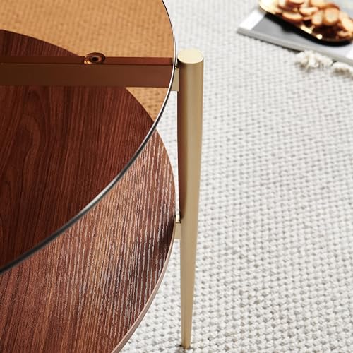 Saint-Mossi-Glass-Coffee-Table-for-Living-Room-Middle-Century-Modern-Style-Coffee-Brown-Glass-Top-Walnut-Brown-MDF-Wood-Top-with-Gold-Finish-Legs-Frame