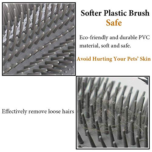 2 confezioni da 2 gatti auto-toelettatura con erba...